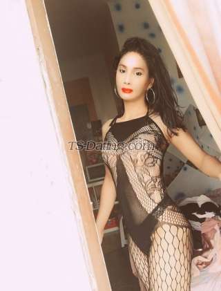 trans girl kattoy 7967453 trans girl kattoy 7967453