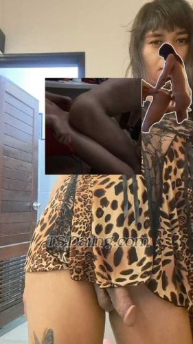 trans girl keyshaladyboy 6911214 trans girl keyshaladyboy 6911214