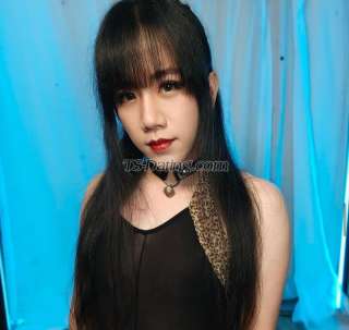 trans girl kimmyzxz 0350658 trans girl kimmyzxz 0350658
