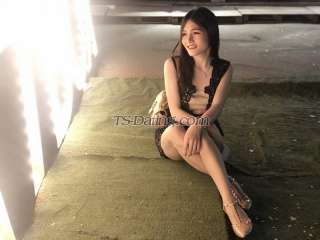 trans girl LIMIN99 2766344 trans girl LIMIN99 2766344