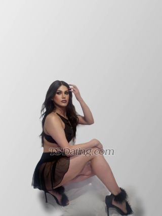 trans girl LadyS 6647745 trans girl LadyS 6647745