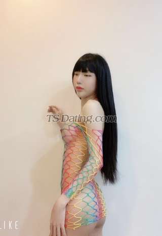 trans girl Ladyboy1999 5703241 trans girl Ladyboy1999 5703241