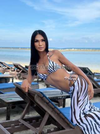 trans girl LadyboyCalisa 5399146 trans girl LadyboyCalisa 5399146