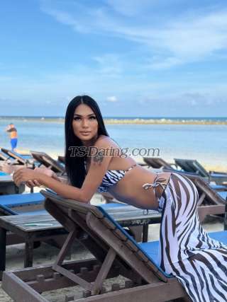 trans girl LadyboyCalisa 5399168 trans girl LadyboyCalisa 5399168