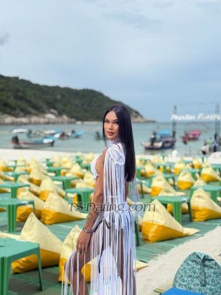 trans girl LadyboyCalisa 7233236 trans girl LadyboyCalisa 7233236