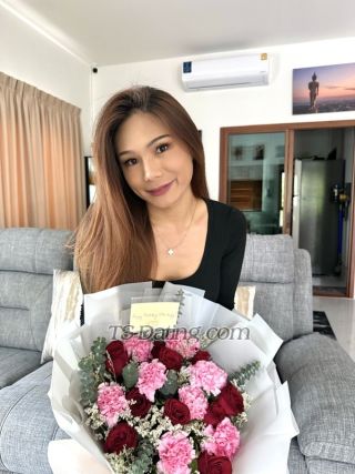 trans girl Ladyboybb 3271678 trans girl Ladyboybb 3271678