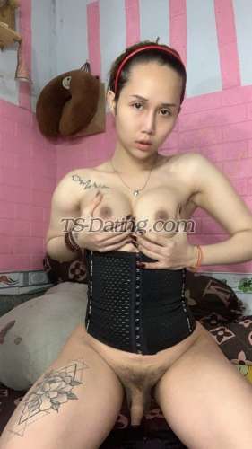 trans girl Ladyboycami25 0670983 trans girl Ladyboycami25 0670983