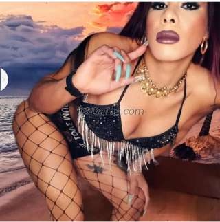 trans girl LaraJones 2291466 trans girl LaraJones 2291466