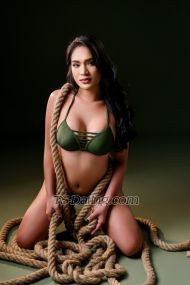 Lara barcelo Kuala Lumpur Transex Telegram ( +639510710392 )Line
(larabarcelo12)WeChat ( larabarcelo12 )WhatsApp (
+639510710392 )Hi Im Lara,I'm
willing to please you and make you have a good time with me.
If you want to confirm that my profile is 100% real, you can
give me a call to confirm. Providing the best ever
satisfaction and fulfilled fantasies. You will probably
regret if you miss to meet the precious, gorgeous and fully
functional transgender in town who can cum a lot with big
tool. You will encounter the best and absolutely
incomparable and unique service.In addition, I am
not a time watcher. I don’t fuck and go. I won’t let my
client feel that I am in a rush or in a hurry. I will give
you good and perfect service cause you deserve the best. And
we can talk about the rates if you want to have me for
couple of hours, days, vacation, party or even girlfriend
experience. Am also available for live webcam shows and
performance *Full Service: Versa
Here**Oral Sex:*- Anal intercourse-
Multiple orgasms (depending on the service)- ⁠Cum
Together- ⁠Can do Rimming*Role Play:*-
Romance- Dominance/submission- French
kissing- ⁠Poppers Party*Additional Services
(upon availability):*- Fetishes: Cuckoldry, chastity,
facesitting, small penis humiliation, teasing, and
denial.- ⁠ice 🧊🧊🧊( must provided
you)No Rushing, Service
Guarantee😋😋
