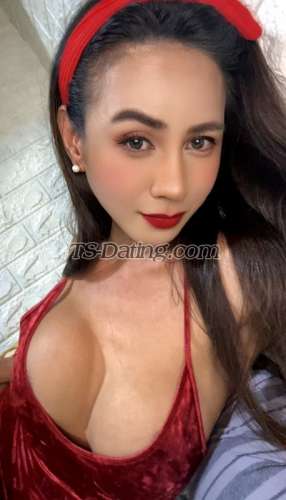 trans girl LatinaAnneX 9997570