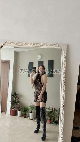 trans girl LavaMontila 8838395 trans girl LavaMontila 8838395