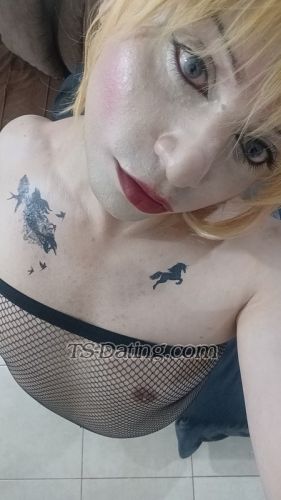 trans girl Layalioa 9671716 trans girl Layalioa 9671716