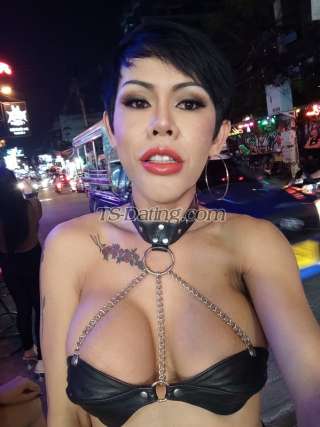 trans girl Lewlew699 5648884 trans girl Lewlew699 5648884