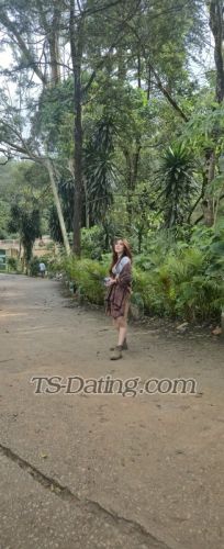 trans girl Likla12 4607182 trans girl Likla12 4607182