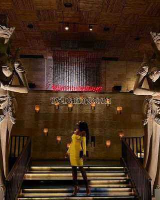 trans girl Lileaune 0234836 trans girl Lileaune 0234836