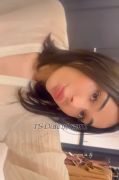 Lilly1995 Tashkent Transex My name is Leyla im lady whith friend sisi — a fiery brunette with a wild, passionate soul. I’m confident, bold, and I know exactly how to set every moment on fire. With me, you’ll never just get what you expect — I turn fantasies into unforgettable experiences.

I don’t just offer pleasure — I embody it. My energy is explosive, my charm irresistible, and my sexuality… unstoppable.

🔥 I am Lili — the brunette who lives for intensity, passion, and limitless desire.

Instagram: @black_lelle