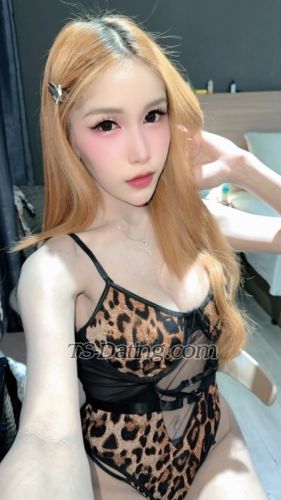 trans girl LillyBloosom 7873968 trans girl LillyBloosom 7873968