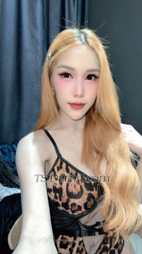 trans girl LillyBloosom 7874011 trans girl LillyBloosom 7874011