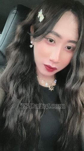 trans girl Lindev 0425234 trans girl Lindev 0425234