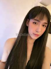 Lingling20 Ho Chi Minh Transex Линлинг из Вьетнама, симпатичный и большой член Хорошее обслуживание, я трансвестит (не ледибой) нижний Связаться по Wechat linh-pm
