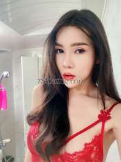 Linglingpung Bangkok Transex Hi i am Ts Dutdao. I come from Bangkok Thailand             
                                                            
                 I'm 26 years old.168cm, 55kg, smooth all
over and curvy body.                                        
            I'm in Singapore now💖                        
                                                            
             stay@ private Hotel 100%.                      
                                                            
               My Real Photos.                              
                                                            
                   My Service Fully Functional, 6' OWO,
TOP-BOTTOM, Versatile.                                      
                 I am good people and polite .Versatile.
Alot CUM💦. InCall $ 200/H.OutCall $ 400
if you want
great experience contact me. 
Line id:
dutdao_89
Wechat id: kwaiine88



      
                                                            
                                              