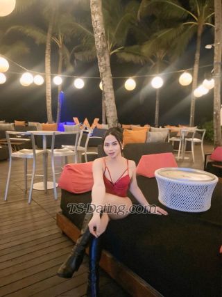 trans girl Linzylieee 4875560 trans girl Linzylieee 4875560