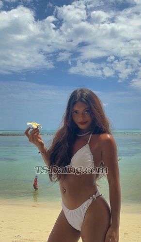 trans girl LittleCarla 8071071 trans girl LittleCarla 8071071