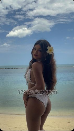 trans girl LittleCarla 8071164 trans girl LittleCarla 8071164