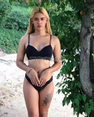 Shemale Littlepony 3597733 Shemale Littlepony 3597733