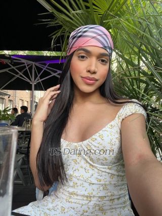 trans girl Livs4562 8913012 trans girl Livs4562 8913012