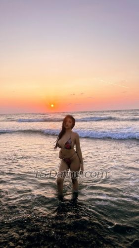 trans girl LizMarroquin 8309920 trans girl LizMarroquin 8309920