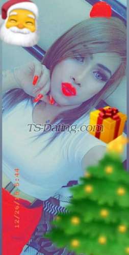trans girl Lovey123 8791343 trans girl Lovey123 8791343