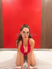 Lusyy Bali Transex Hello my name is lusyy , i am good service , i am like dinner and any speaking ,i am looking for serious customer and i am for working hard 
 
Let’s talk in WhatsApp  
+6281253576766