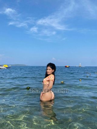 trans girl LykaTrans 4278341 trans girl LykaTrans 4278341