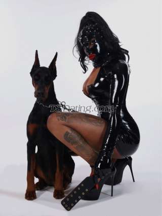 trans girl labelleblackt 5888925 trans girl labelleblackt 5888925