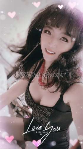 trans girl ladyboyhk 6017103 trans girl ladyboyhk 6017103