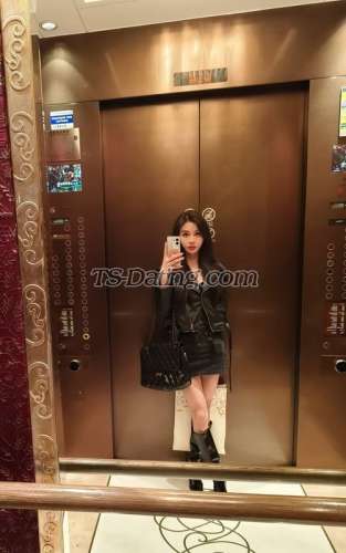 trans girl ladyboylongl 0767837