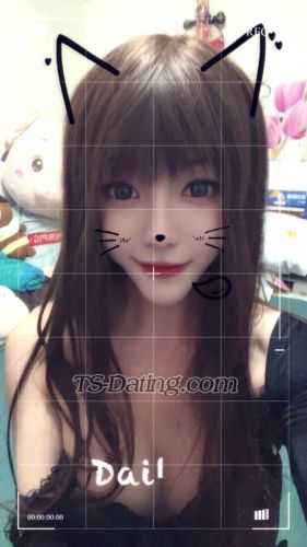 trans girl ladyboyyani 7773885