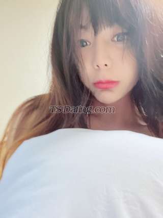 trans girl ladyboyyani 8617959