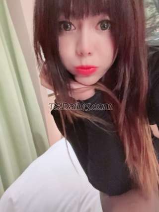 trans girl ladyboyyani 8618250