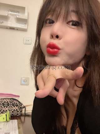 trans girl ladyboyyani 9753959