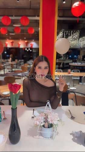 trans girl lauraamanda 9529875