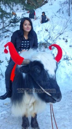 trans girl leensarma 0152683 trans girl leensarma 0152683