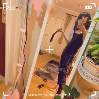 trans girl lifeifeier 8101658 trans girl lifeifeier 8101658