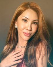 lily91 Kuala Lumpur Transex Hello guys.. im Ts Daniella Lee pre op shemale from Malaysia arrived in Bukit Bintang Kuala Lumpur for a limited session only….. I’m 30 years old, gorgeous, feminine, Asian look & sporting...

Im not rude but plse follow my rules;
1) don't ask me about sent more pictures bcoz im prefer meet me face to face & all my pictures here 100% its me, the most original one... 
2) i just focus with someone want do appointments for today only.. text or call me today, plse meet me today,, asking about wanna meet tomorrow or nextweek, nextmonth, nextyear & nextime, no need to chat me now! 
3) dont ask me about u are first timer, virgin or student.. i had that word (disgusting).. dont talk too much, just straight to the point.. 
4) im a good person & can discuss about price, but if u need more request, too much request (like that, like this, or something else) , makesure ur prepared more 💰💰💰💰💰💰💰
5) when i just read ur watsup but not rply, means im not interesting, so just ignore me & try to find another 
6) im not rply inbox message 

TAKE NOTE 📝 

My weights: 58kg

My height: 168 cm

My stats: 36c-27-38

My availability: limited 

I promise you will have the best time of your life,just give a chance. Thank you for your time,please give me call if you want chat,you will talk to me directly,no agency involved!


KISESSSSSSS +60109453054 (DIRECTLY CALL ONLY) 
Watsup only : +60176790366
Telegram : @KathrienaArleesha

