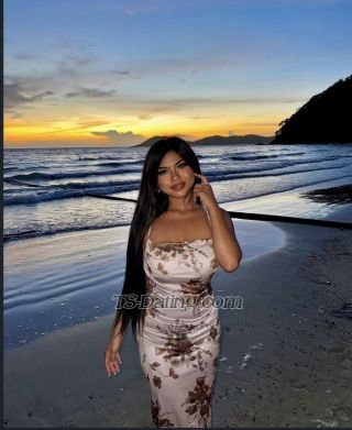 trans girl lindsay0101 6844513