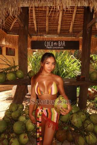 trans girl livbedumb 8842818 trans girl livbedumb 8842818