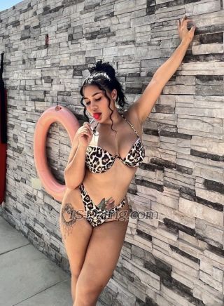 trans girl lovebites 3346849