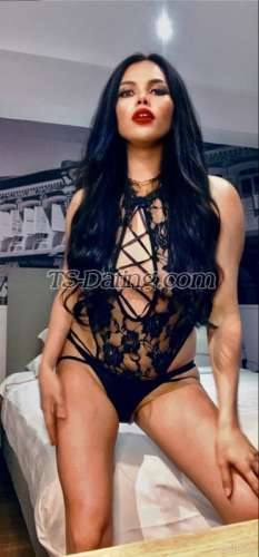 trans girl lovelyketch 4513205 trans girl lovelyketch 4513205