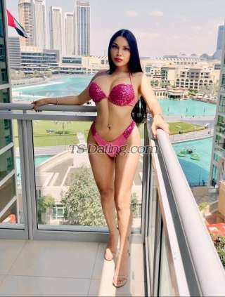 trans girl MISHELLkors 6658942 trans girl MISHELLkors 6658942